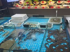 -美达尔烧烤(大尧三路店)