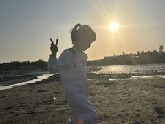 -北海金海湾红树林生态旅游区