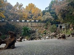 景点-伯先公园