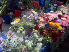 -循礼门鲜花花市(武汉循礼门店)