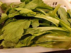 -湘肠香火锅店(团结湖店)
