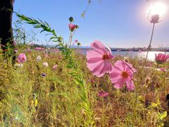-野鸭湖国家湿地公园