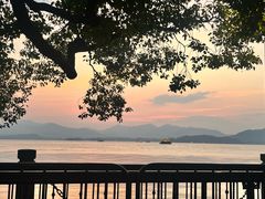 -西湖外事游船(花港观鱼码头)