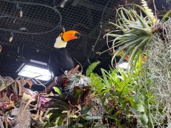 -Zoolung Zoolung动物主题公园(海信广场店)