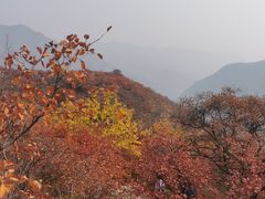 -周口店坡峰岭风景区