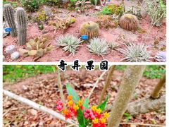 -中国科学院西双版纳热带植物园