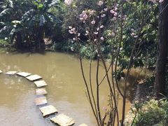 -金山植物公园