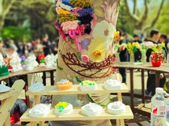 -上海共青森林公园