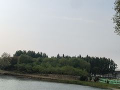 -丁香湖公园