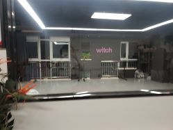 -WITCH （舞季）舞蹈工作室