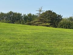 -北京国家会计学院