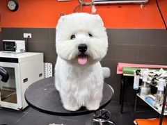 -宠宠熊宠物美容(星湖街店)