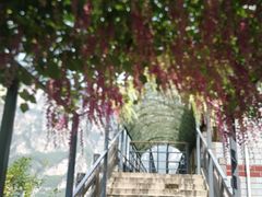 -神农山景区
