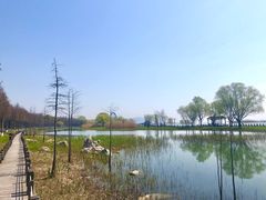-太湖湖滨国家湿地公园-停车场