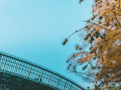 -福道