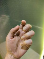 -HUII NAIL绘京美甲美睫会馆