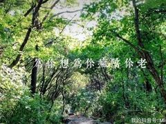 -灵山