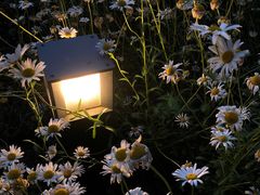 -江苏省苏州实验中学