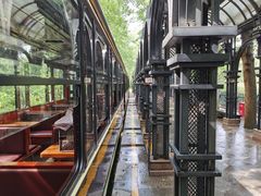 -合肥滨湖国家森林公园