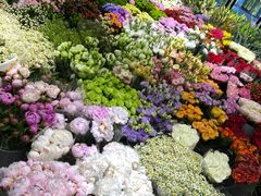 -双季花艺园艺市场(浦东店)