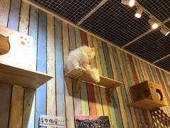 -小时光咖啡馆(开森度假森林店)