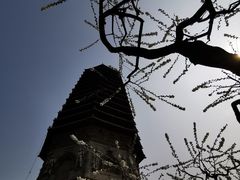 景点-玲珑塔公园