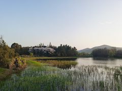 -长广溪湿地公园