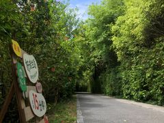 -华侨城湿地公园