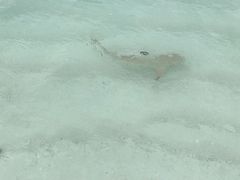 -中央格兰德岛温泉度假酒店 - 全包