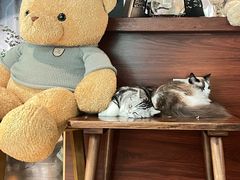 -咖法森林·咖啡  酒吧(天河店)