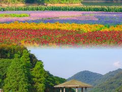 -广州市石门国家森林公园