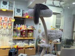 -爱洗澡的猫(天河路店)
