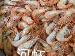 -水上鱼当家