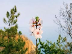-燕窝岭