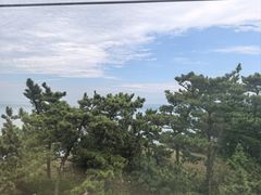 -摩天岭风景区