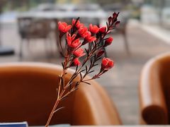 -南湖宾馆·鸳湖阁全日制餐厅