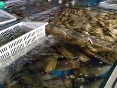 -海蓝海鲜馆(五四北店)