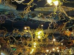-八斗鸡·湘土菜(国贸店)