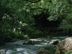 -广州市石门国家森林公园