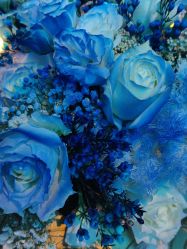 -华侨城洲际大酒店·宴会厅