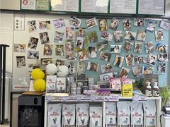 -爱妮康宠物医院·干细胞免疫细胞·肿瘤·心脏(张江店)