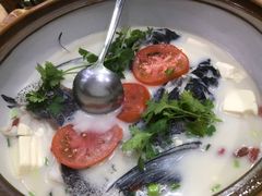 -全乐鱼馆·淳牌有机鱼直营店