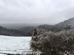 -敬亭山风景名胜区
