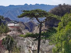 -圣莲山风景区