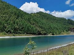 -武陵山森林公园