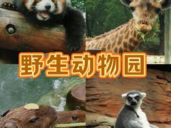 -北京野生动物园