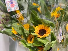 -盒马X会员店(上海森兰商都店)