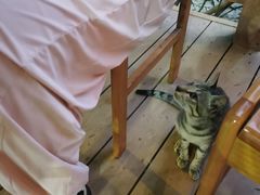 -兴隆槟榔园休闲农庄