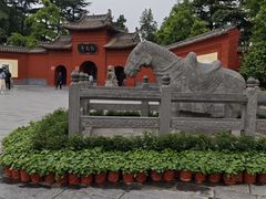 -洛阳白马寺