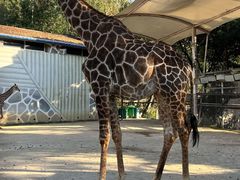 -泉州海丝野生动物世界